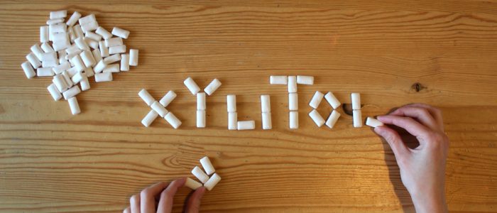 xylitol spelled with white letters and pieces of gum